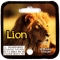 LION - MEGA MARBLES - MEGA MARBLES 24+1 (2013-2018) (FACE)